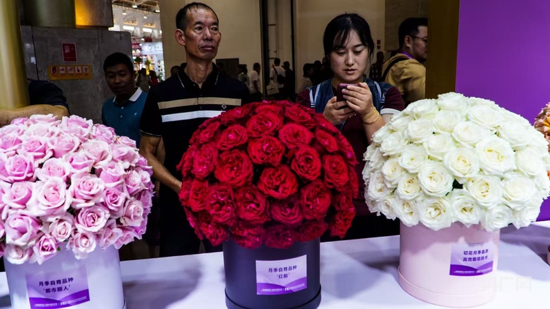kaiyun体育全站【高质量发展看中国】云南：“美丽”经济绽放生活像花儿一样美(图5)