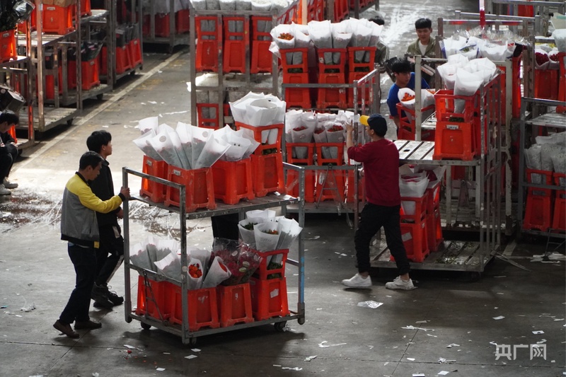 kaiyun体育全站【高质量发展看中国】云南：“美丽”经济绽放生活像花儿一样美(图4)