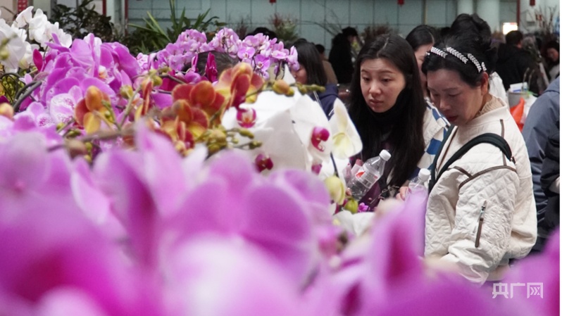 kaiyun体育全站【高质量发展看中国】云南：“美丽”经济绽放生活像花儿一样美(图6)