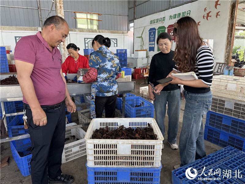 “潜kaiyun体育网页版江龙虾”何以“长红”(图3)