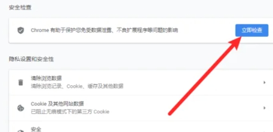 谷歌浏览器怎么进行安全检查-谷歌浏览器进行安全检查的方法(图4)