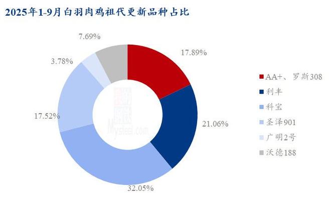 Mystkaiyun体育全站eel解读:独家追踪—2025年白羽肉鸡最新供应端数据解析(图2)