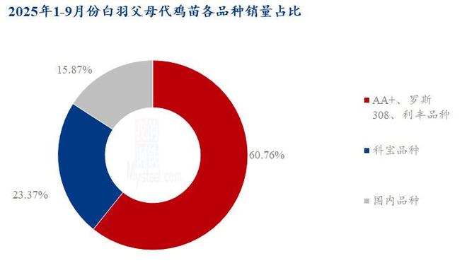 Mystkaiyun体育全站eel解读:独家追踪—2025年白羽肉鸡最新供应端数据解析(图4)