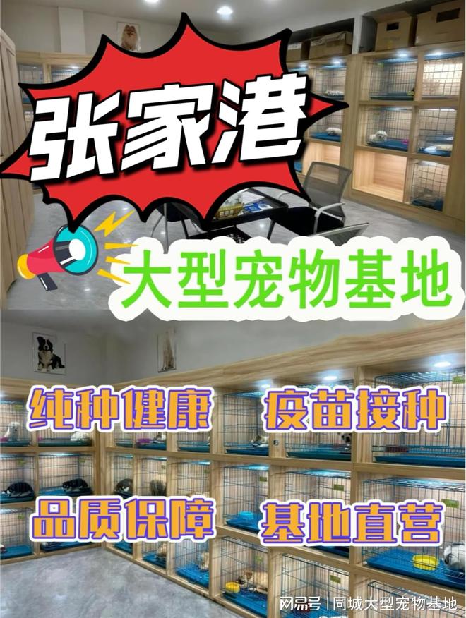 kaiyun体育网页版张家港买宠物猫狗哪里便宜？这里安全可靠还能实地选宠物不虚此行(图1)