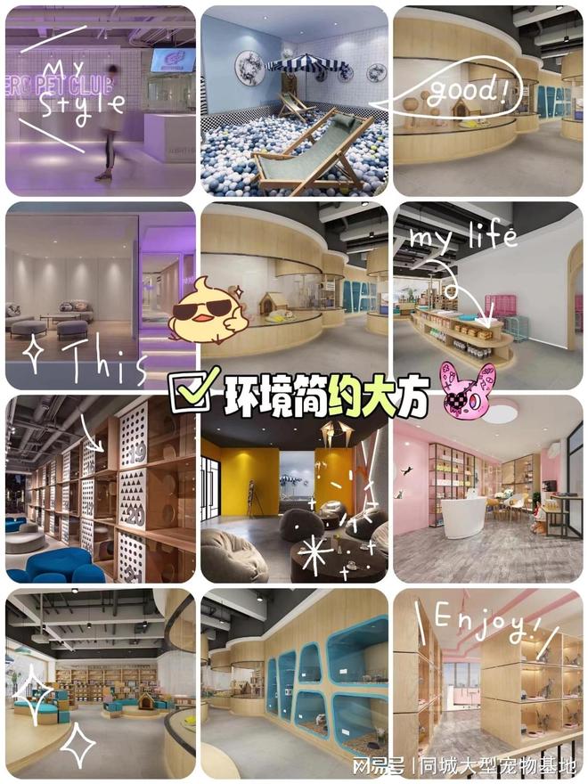 kaiyun体育网页版西安宠物猫狗在哪里买靠谱？这里安全可靠能挑选心仪的宠物(图4)