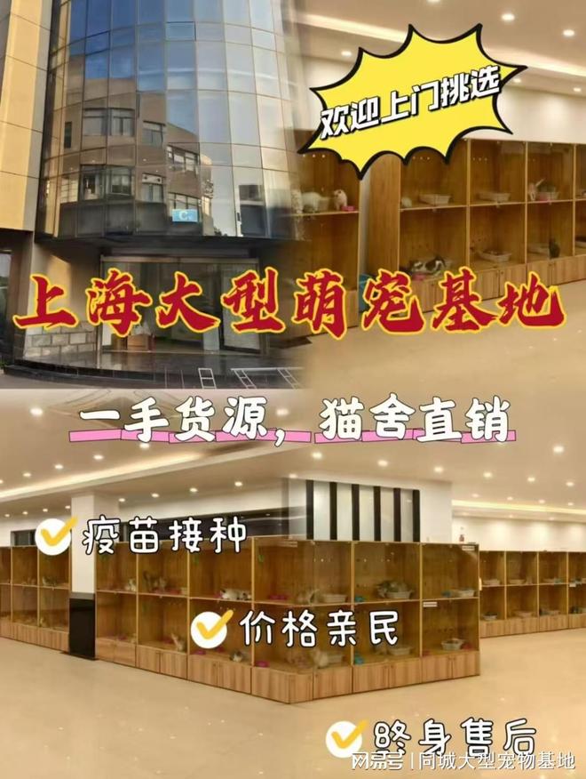 上海哪里有正规宠物基地?这里专业安全可亲自挑选宠物(图1)