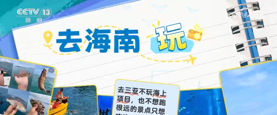 解读大数据·从“去海南玩”到“去海南发展”动词之变折射机遇之变(图1)